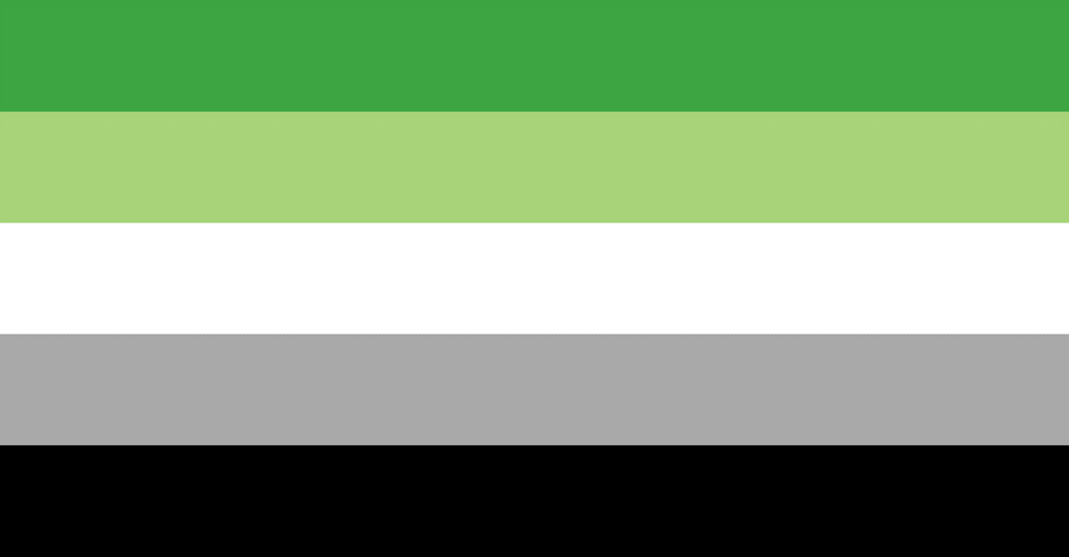 The aromantic pride flag, which has five horizontal stripes: dark green, light green, white, grey, and black.