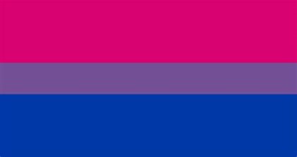 The biseexual pride flag, which has three horizontal stripes: pink, purple, and blue.