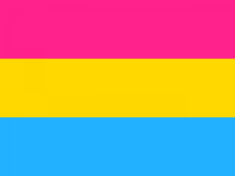 The pansexual pride flag, which has three horizontal stripes: pink, yellow, and blue.