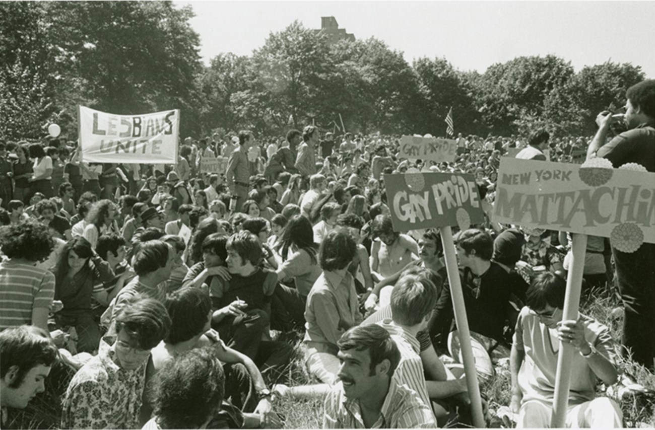 Thousands of people sitting in the park with signs read “lesbians unite,” “gay pride,” and “New York Mattachine.” 