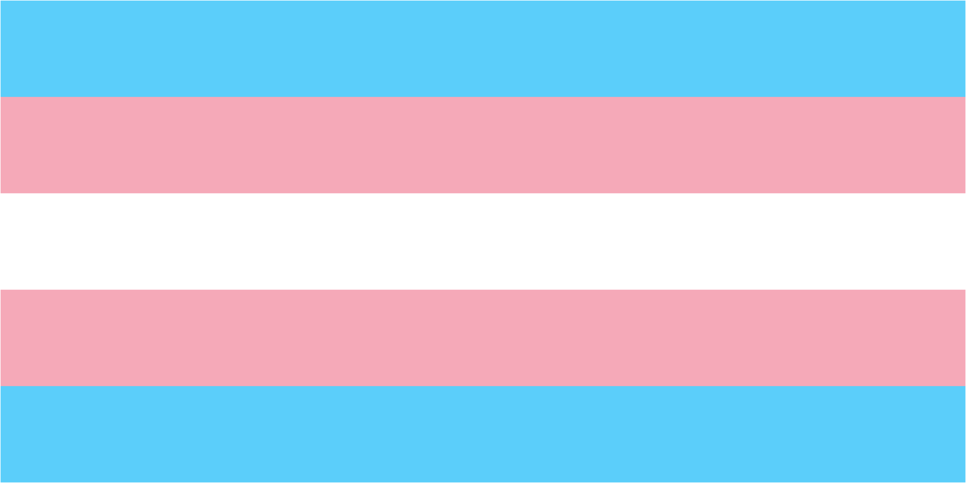 The transgender pride flag, which has five horizontal stripes: light blue, pink, white, pink, and light blue.