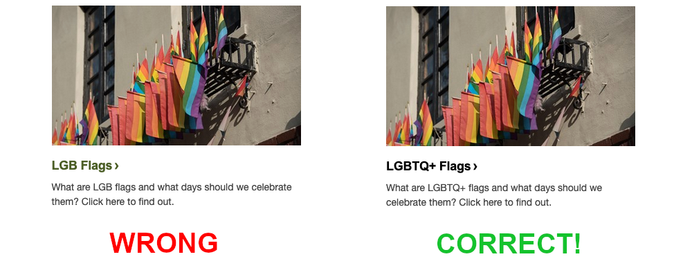 A screenshot of the NPS website showing the incorrect labeling of pride flags with the word WRONG beneath it and a screenshot of the correct labeling next to it with the word CORRECT beneath it.