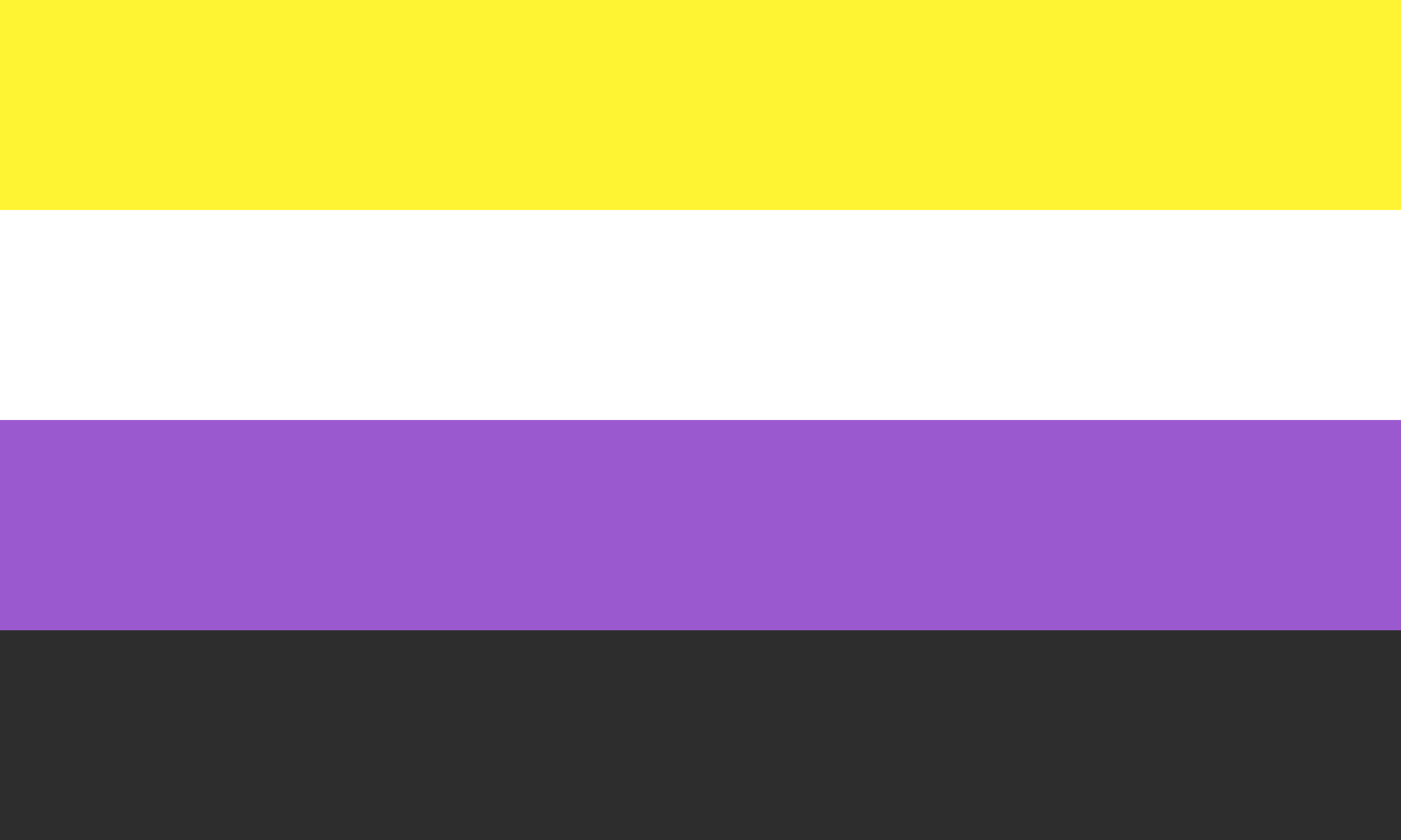 The non-binary pride flag, which has four horizontal stripes: yellow, white, purple, and black.